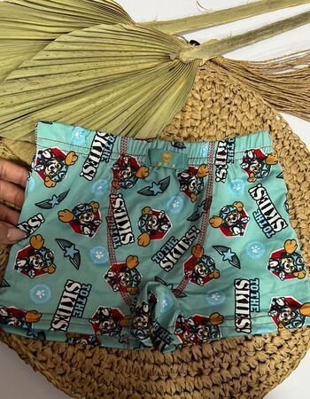 imagem CUECA POLIESTER TOTHE 1147 GG