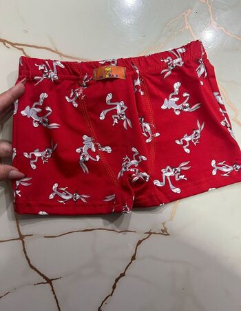 imagem CUECA POLIESTER PMG 1146  PERNA LONGA
