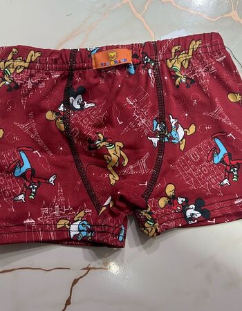 imagem CUECA POLIESTER PMG 1146 PARIS MARSALA