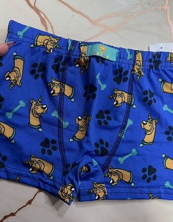 imagem CUECA POLIESTER PMG 1146 PARIS MARSALA